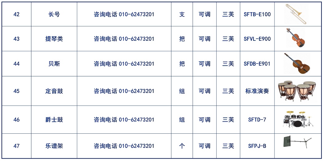 中學常規(guī)音樂器材_09.jpg
